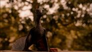 Drogon in Qarth.