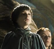 Robin Arryn