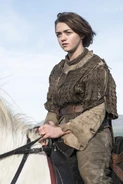 Arya Stark profile Season4.jpg (109 KB) Promotional art for Arya in The Children.