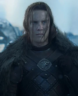 Креґан Старк