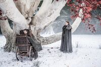 704 Arya Bran Sansa