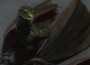 Young Rhaegal