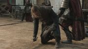 Eddard injured