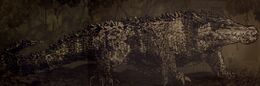 Lizard-lion