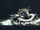 House Greyjoy (short)