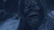 The brief closeup of a White Walker as it attacks Waymar Royce.