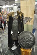 Eddard Stark costume on display at Wondercon 2011.