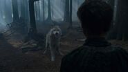 Summer protecting Bran Stark from the possible threat posed by Jojen.