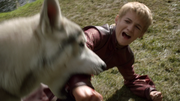 Nymeria bites Joffrey