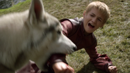 Nymeria broniąca Aryę przed Joffreyem.