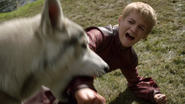 Nymeria picaduras de Joffrey