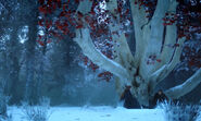 Bran-weirwood-tree