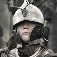 Brienne wearing the stylized helmet of Renly's Kingsguard