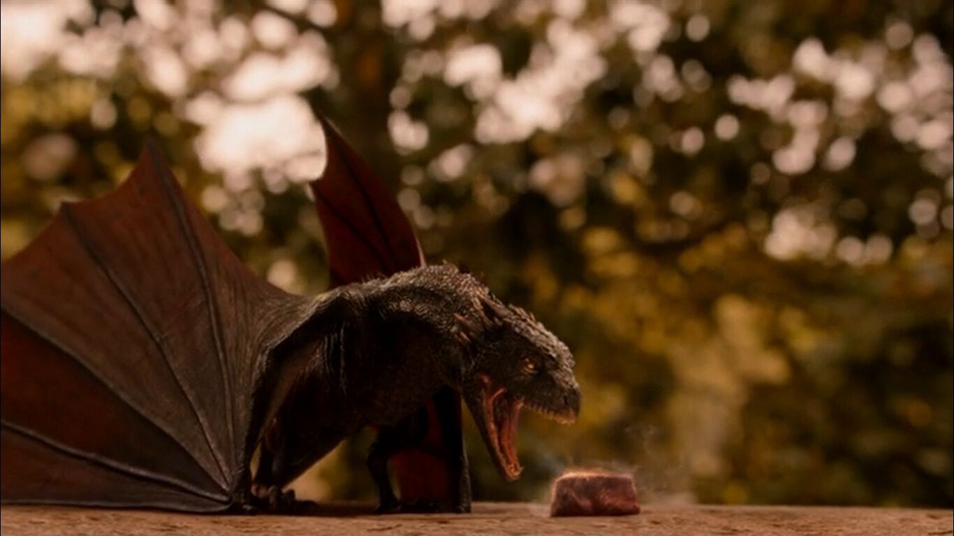 Drogon - A Wiki of Ice and Fire