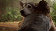 Arya hugging Nymeria