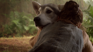 Arya lets Nymeria go.