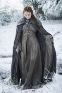 Sansa in Season 6.