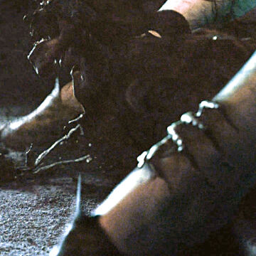 Shadow Game Of Thrones Wiki Fandom