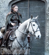 Arya Stark