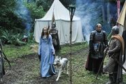 Sansa, in her original Northern-style dress