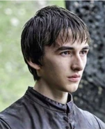 Bran s6