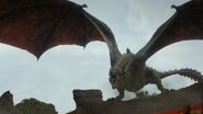 Drogon at the Dragonpit in Season 7.