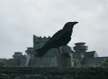 Ravens-Portal