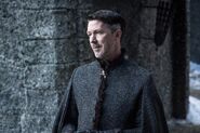 Stormborn Baelish Winterfell