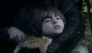 Bran Stark is held hostage by wildlings.