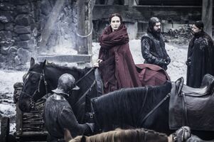 505 Melisandre