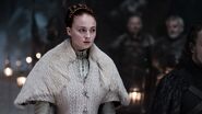 Sansa's second wedding dress, high definition close-up: note the heavy feathering on the shoulders, echoing the Stark-style heavy furs, and her mother's Tully fish-sigil clasps.