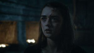 603 Eidbrecher Arya Stark