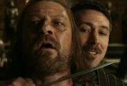 Petyr Baelish betrays Eddard Stark.