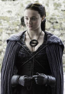 The Dark Sansa costume reappears in Season 5, now with outdoor cape and gloves.