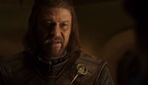 106 Eddard Stark Nahaufnahme