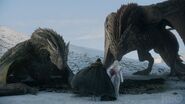 Rhaegal and Drogon