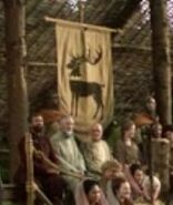 House Baratheon banner at the tourney