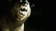 Cão Felpudo assusta Bran e Osha nas criptas de Winterfell.