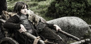 Bran in "Dark Wings, Dark Words."