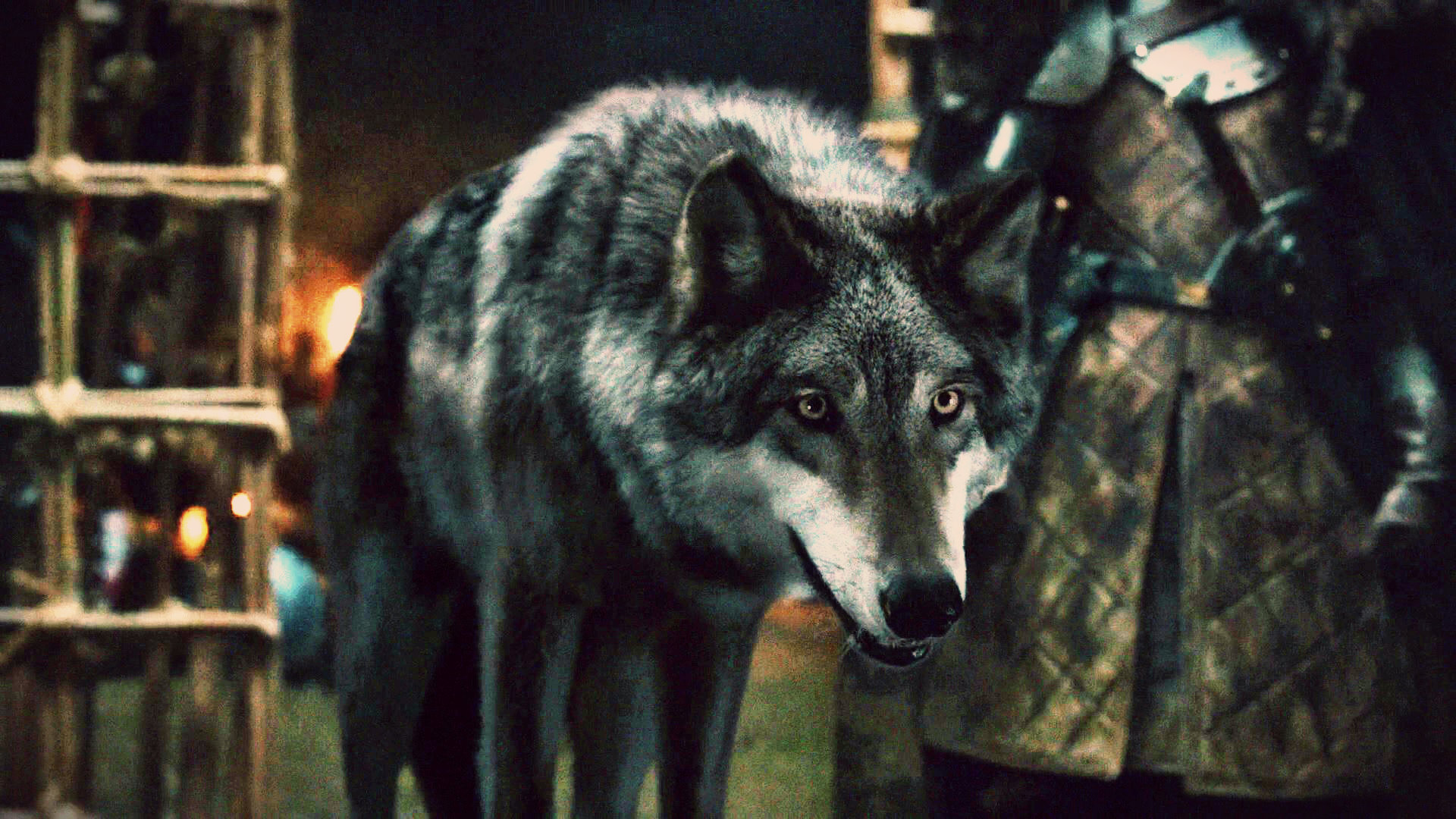 robb stark wolf head fan art