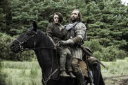 Sandor Clegane's Stranger