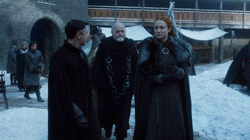 703 Petyr Wolkan Sansa