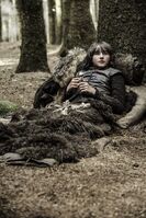 Bran S03E06