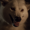 Famtree-GhosttheDirewolf.png