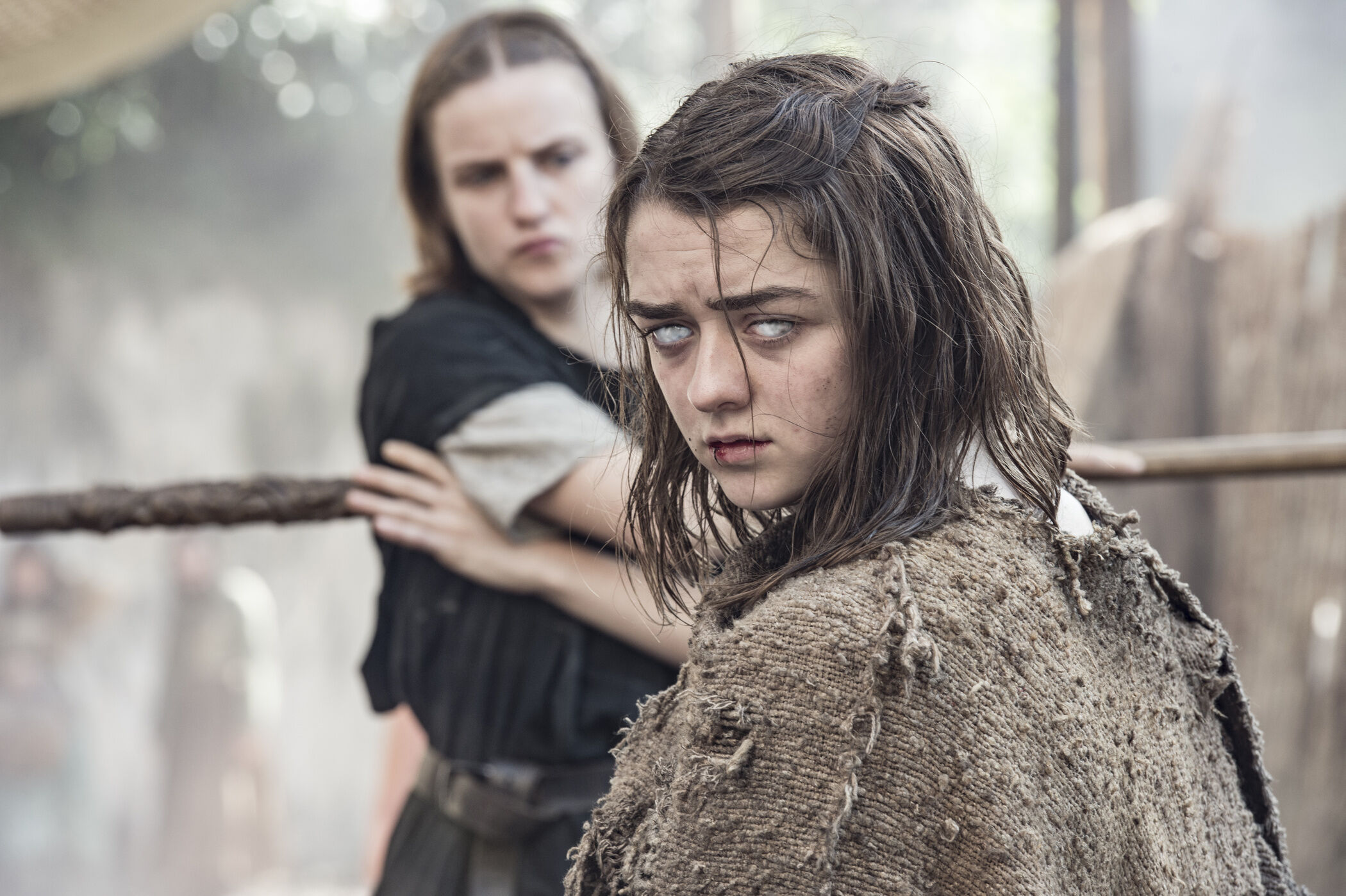 Arya Stark Wiki of Westeros Fandom