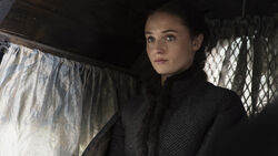 Sansa Stark as Alayne in Season 5