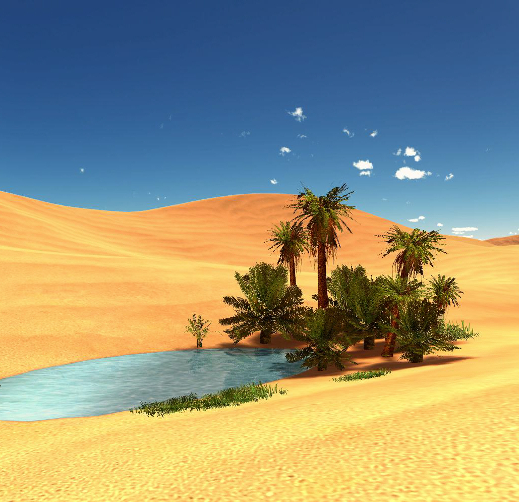 What Is an Oasis in the Desert?