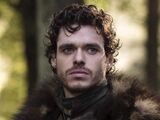 Robb Stark (The Red Wolf)