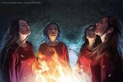 Red priestesses