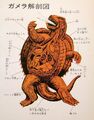 Old anatomy graph of Showa Gamera